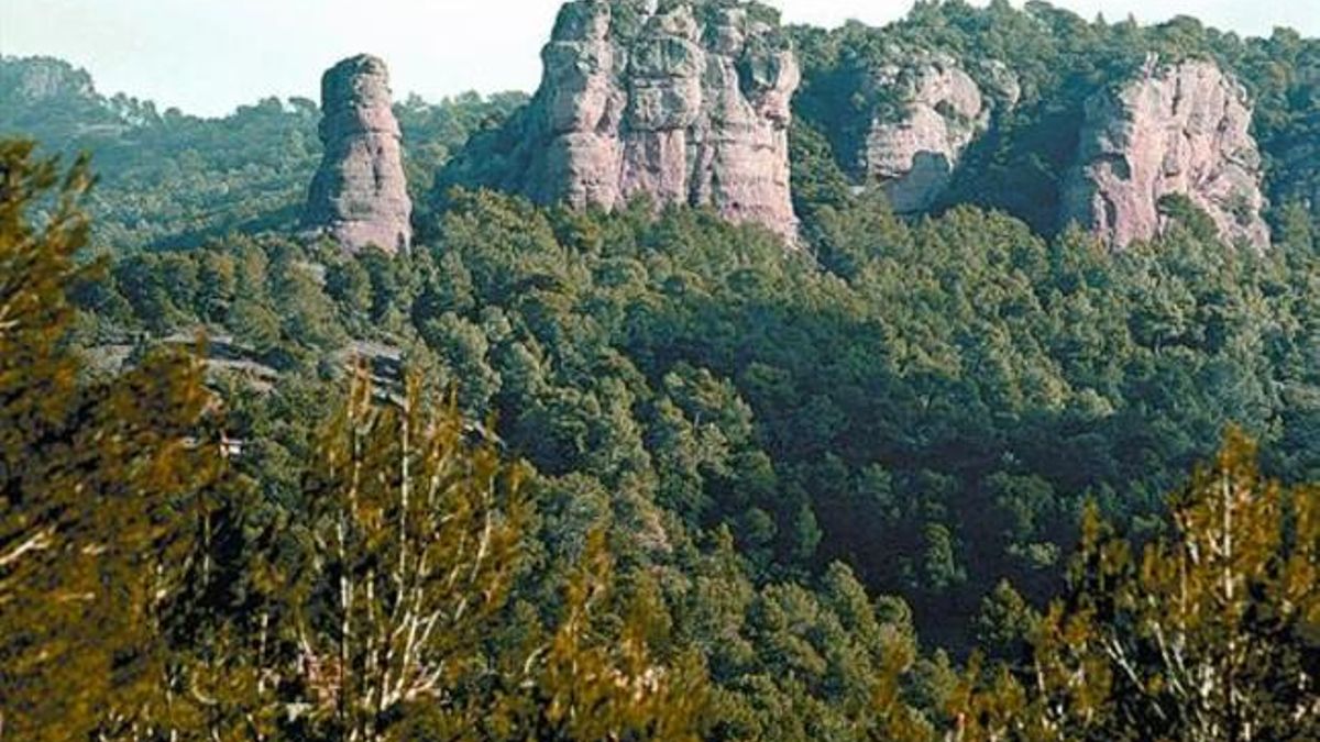 Una panorámica del parque natural de Sant Llorenç de Munt i l'Obac (Vallès Occidental).
