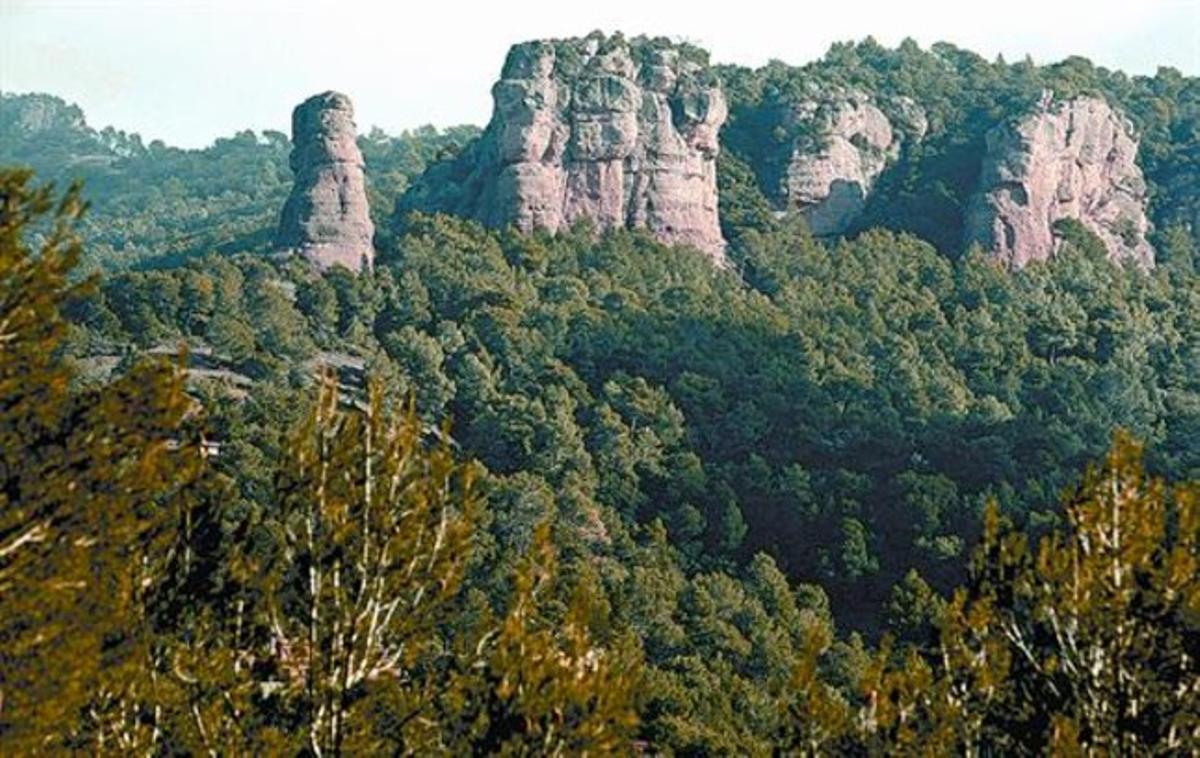 Una panoràmica del parc natural de Sant Llorenç de Munt i l’Obac (Vallès Occidental).