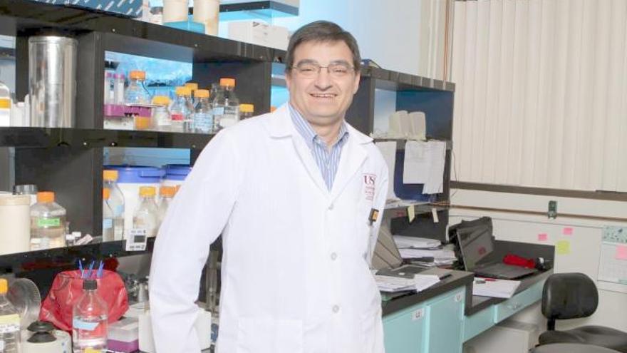 El doctor Camarero Palao en su laboratorio de la USC |Cedida