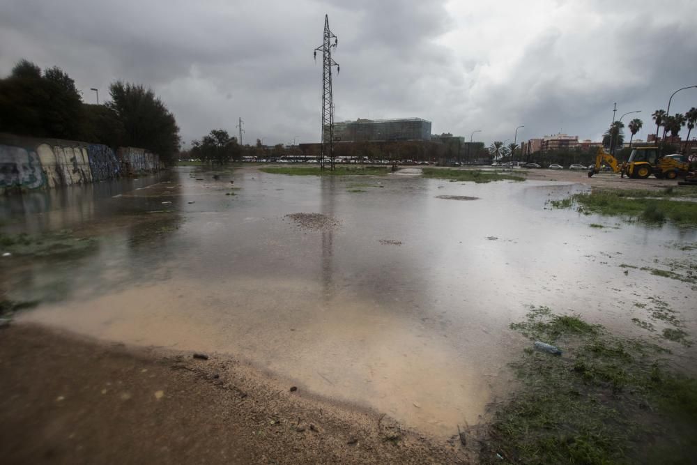 Tromba de agua que ha inundado la avenida Serrería en València.