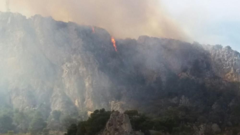 Incendi a l''Estartit