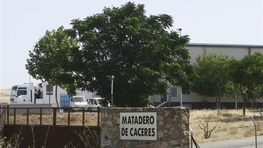 El Ayuntamiento de Cáceres deja sin efecto la adjudicación del matadero municipal