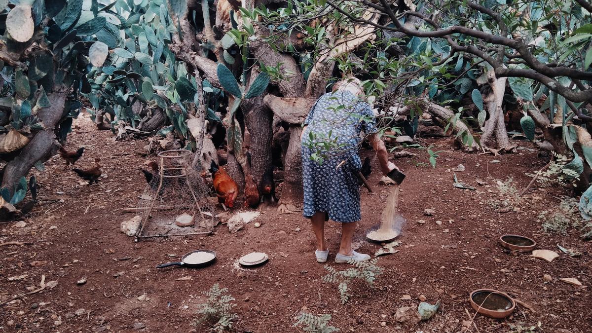 Fotos premiadas en el III certamen de fotografía 'De la mar i de la terra' para visibilizar la mujer rural