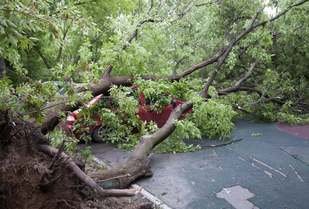 Un fuerte temporal de lluvia y vientos huracanados causó hoy la muerte de al menos once personas en Moscú, casi todos por caídas de árboles.