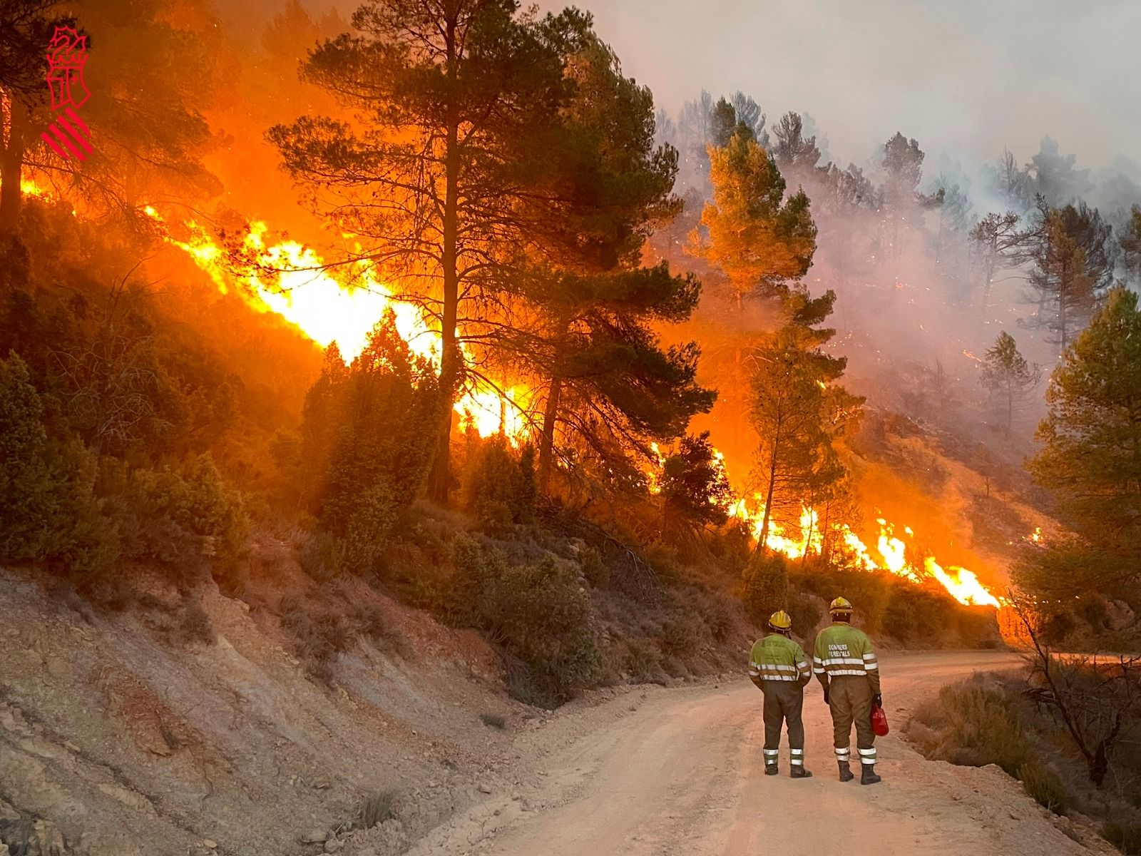 Las fotografías del virulento incendio forestal en Villanueva de Viver