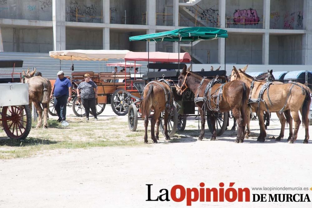 Hermandad del Rocío de Murcia en Caravaca