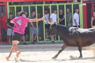 Entrada de toros y vacas de Nacho Claramonte en Burriana