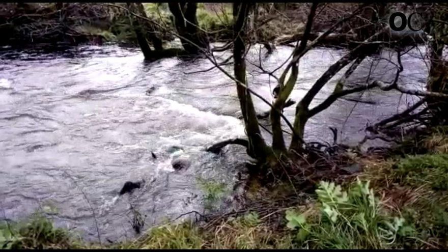 Rescatado el cuerpo de un pescador en el río Mandeo