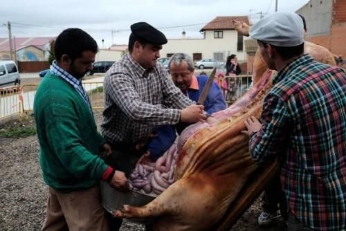 Matanza tradicional en Monfarracinos