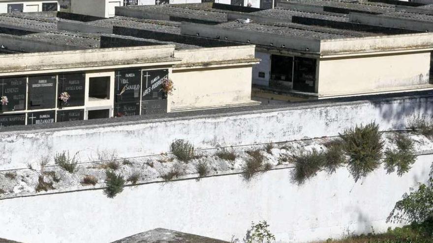 Cubiertas y muros con vegetación en un lateral del cementerio de San Amaro.