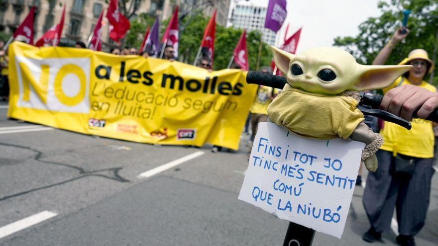 Què voten els docents
