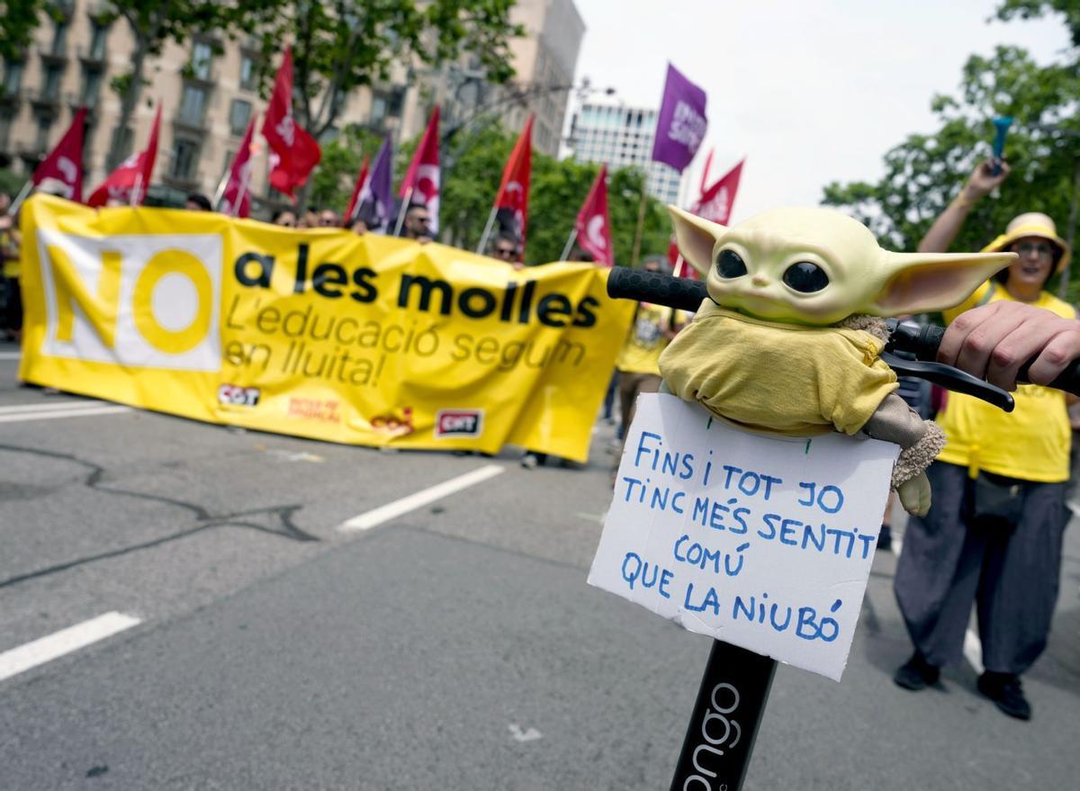 Què voten els docents