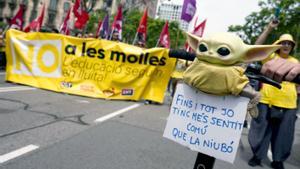 Què voten els docents