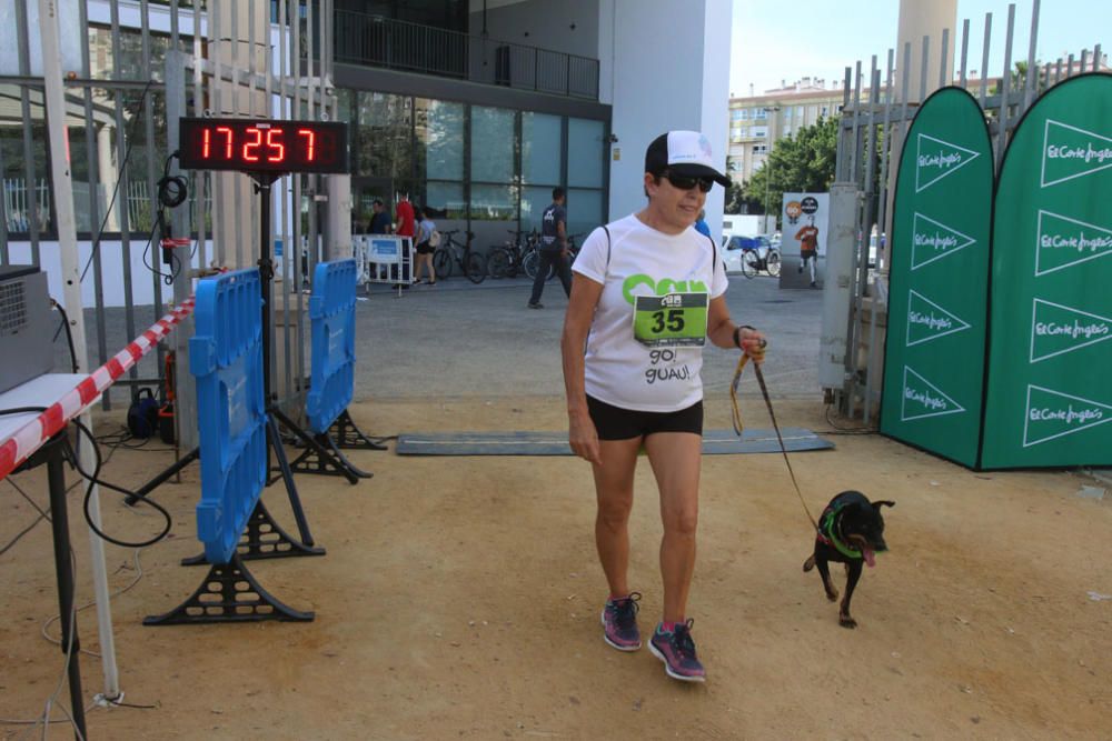 El Parque Huelin ha acogido la primera edición de un evento destinado a las mascotas y a sus dueños, con carreras en diversas categorías, actividades gratuitas y numerosos stands