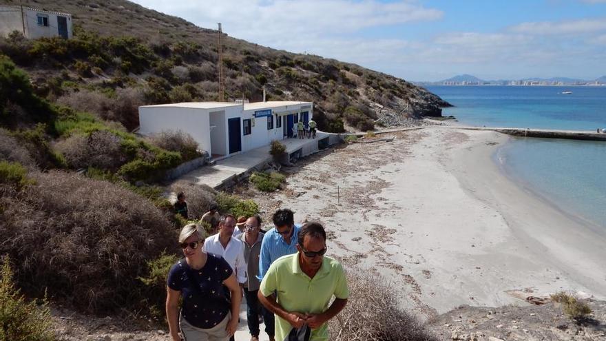 Isla Grosa cuenta con el mayor &#039;dormidero&#039; de cormorán moñudo en el Mediterráneo