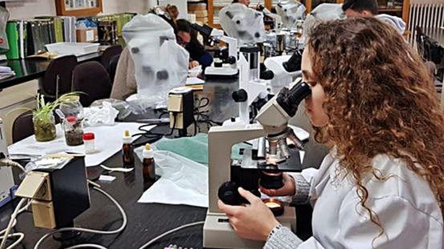 Alumnos del IES Los Sauces trabajando en el laboratorio.