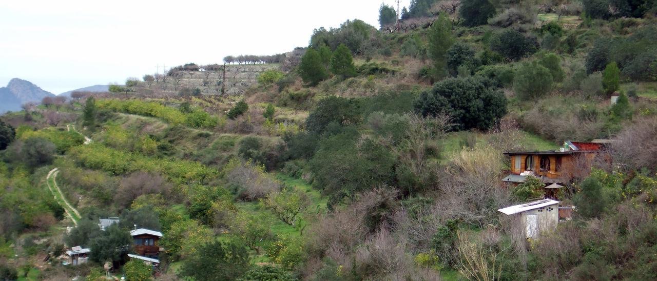 Casas de madera, presuntamente ilegales, en la ladera de una montaña.