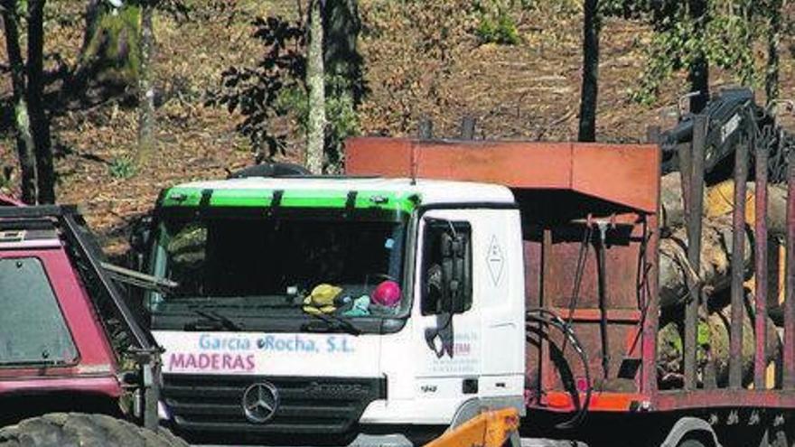 Un camión durante el proceso de carga de madera. l. o.