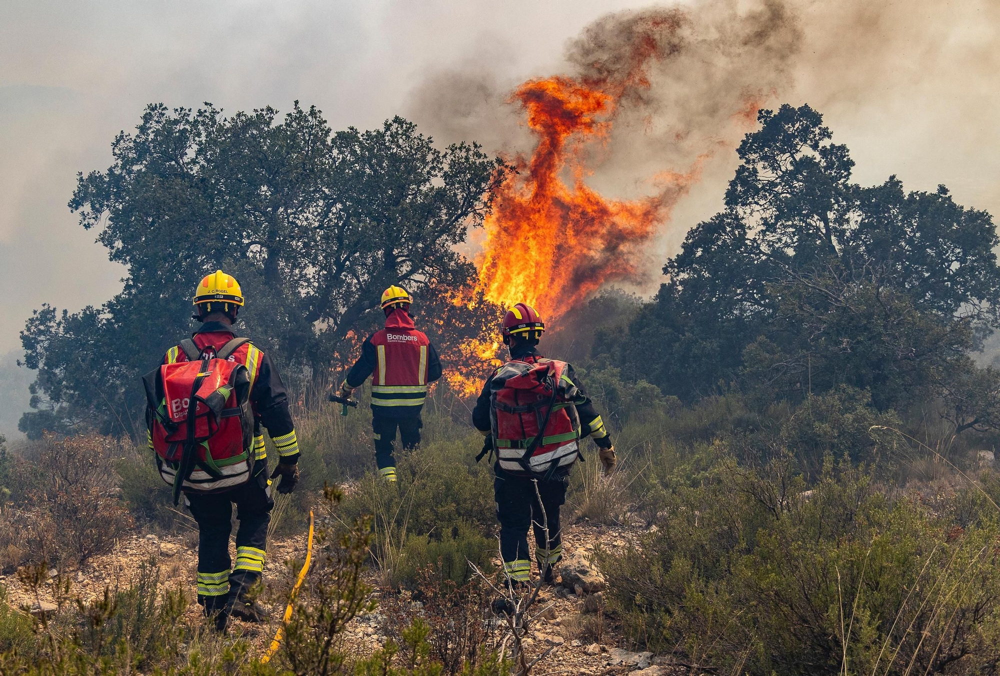Incendio en el paraje de San Pascual en Ibi