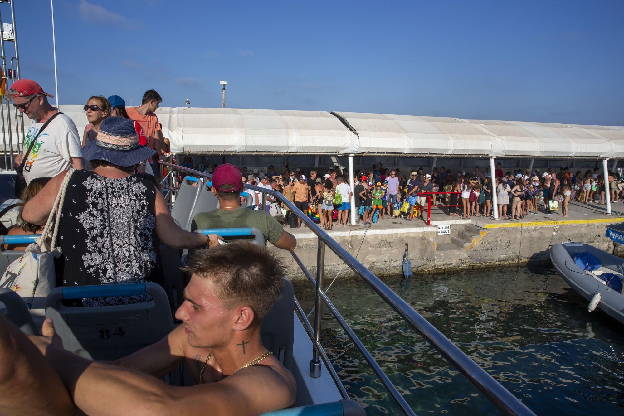 Tabarca, al 100% este verano