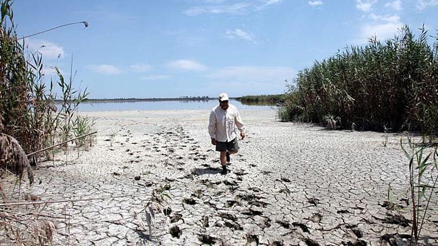 El embalse de Levante de El Hondo se encuentra ya prácticamente seco y es donde han aparecido miles de peces muertos.