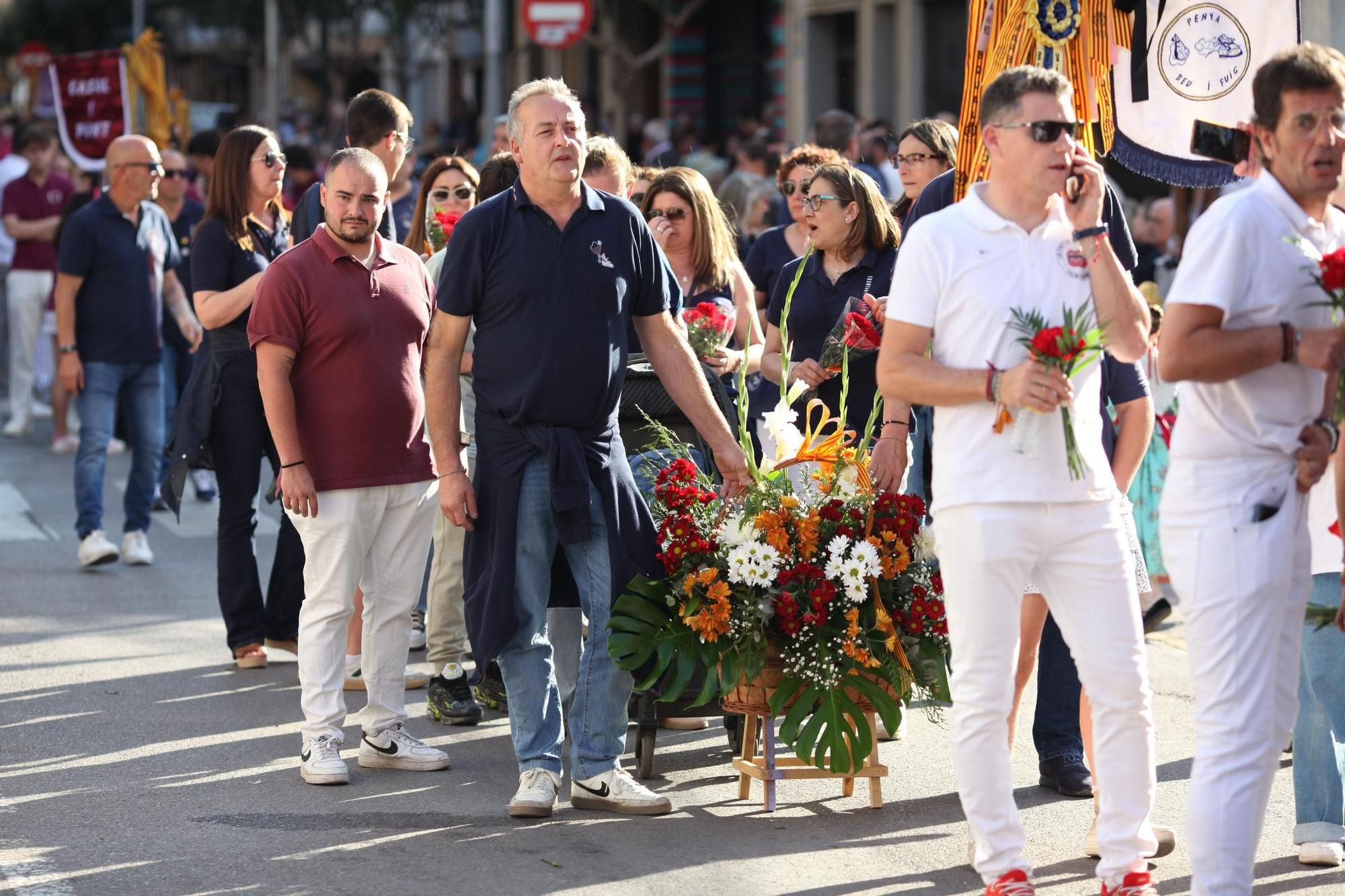 Galeria de fotos de l'ofrena de flors a Sant Pasqual en Vila-real