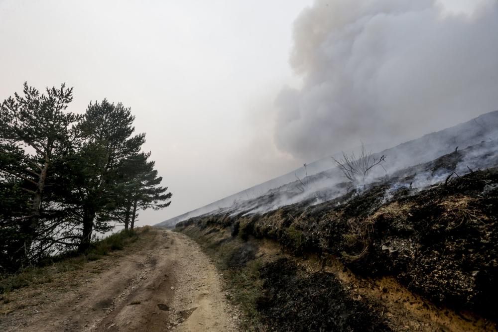 El suroccidente asturiano lucha contra las llamas