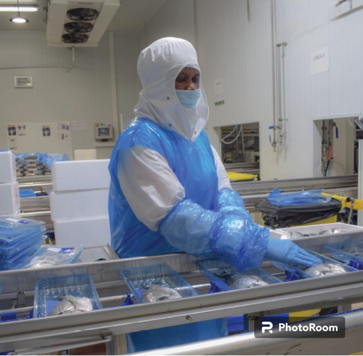 Una trabajadora en una línea de producción de la planta de Mowi en Zaragoza.