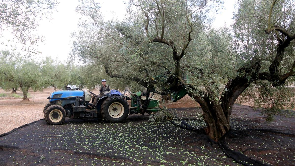 Un pagès, treballant amb el seu tractor.