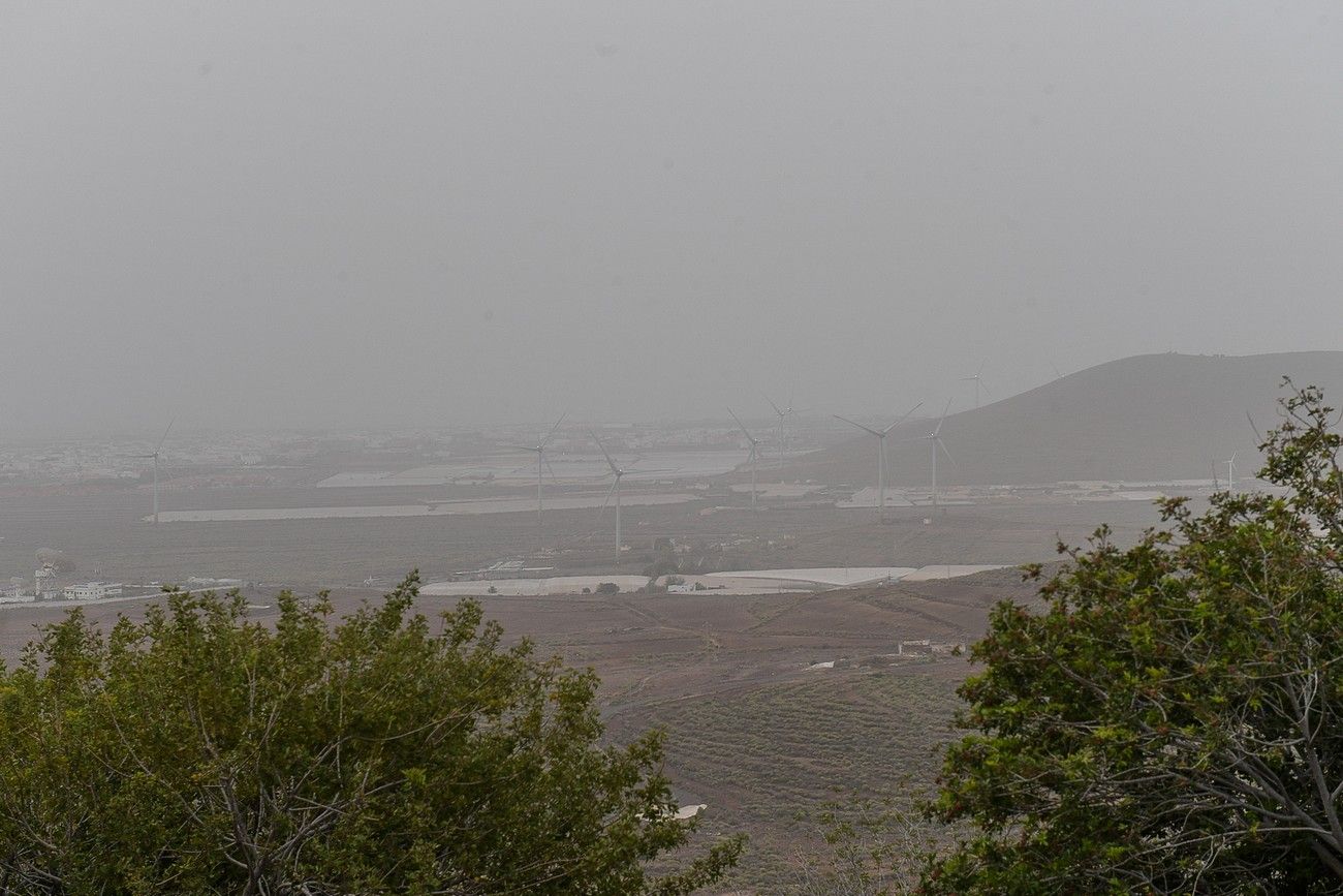 Calima en Las Palmas de Gran Canaria (17/03/2022)