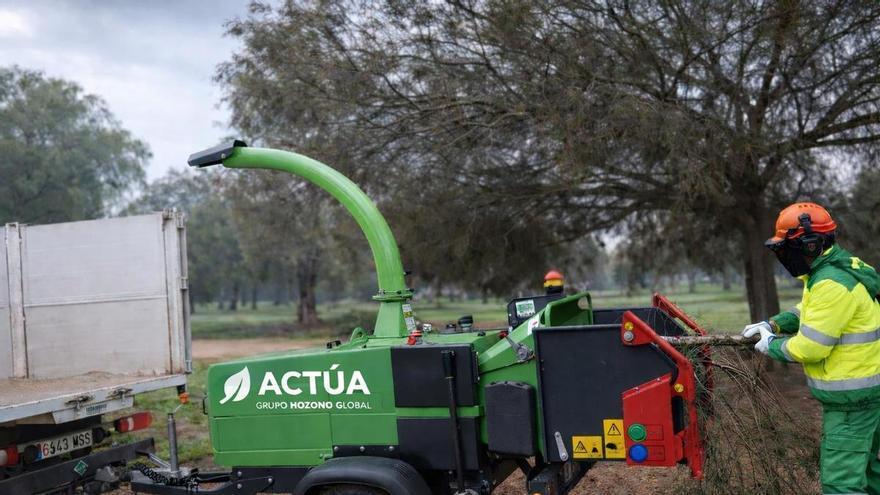 Cartagena mejora sus zonas verdes con un plan de aporte de triturado vegetal