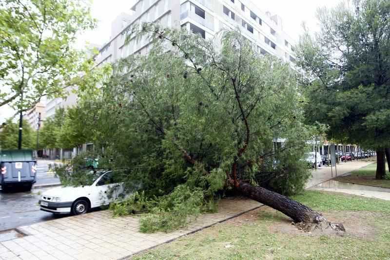 Fuerte tormenta en Zaragoza