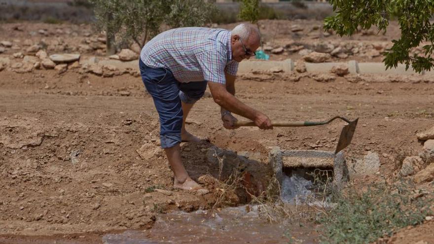 La reserva de agua en las cuencas del Júcar y Segura, un 25% por debajo de la media de España