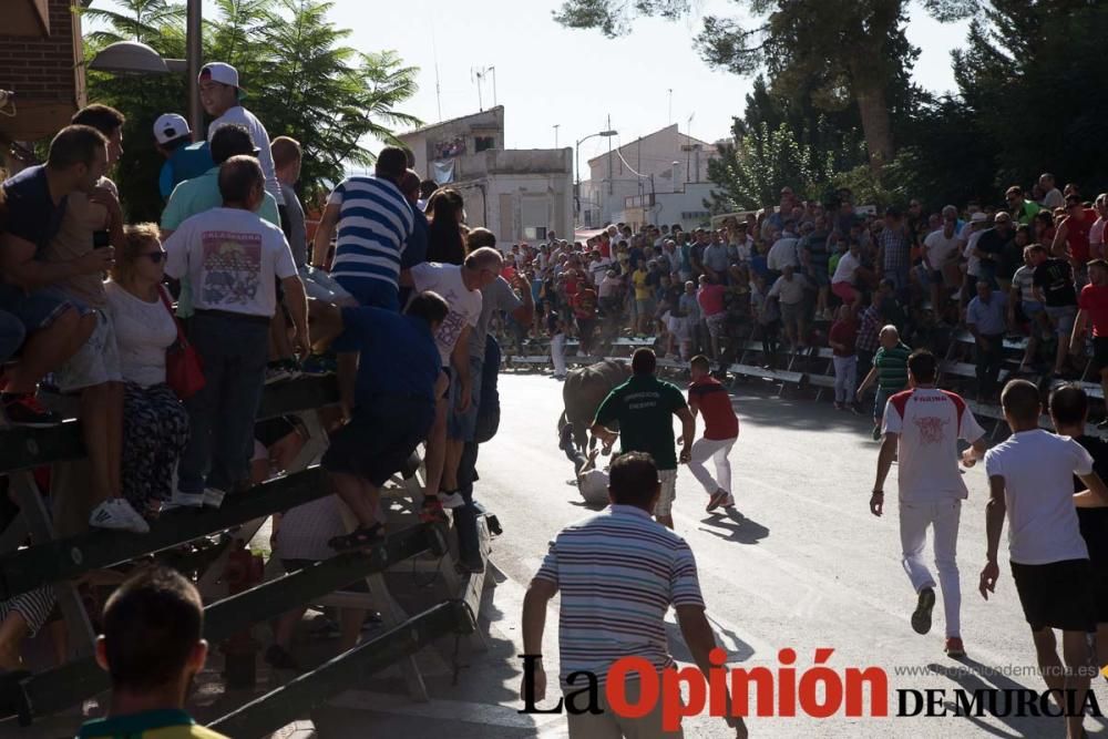 Primer encierro de Calasparra