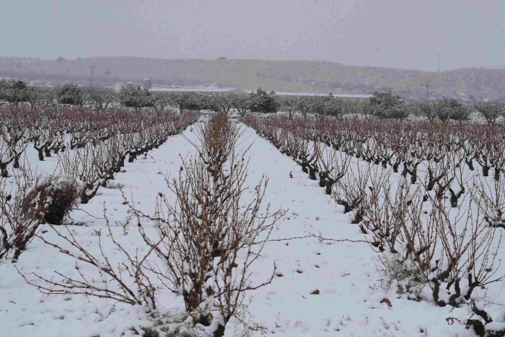 Nieve en Coy, Lorca