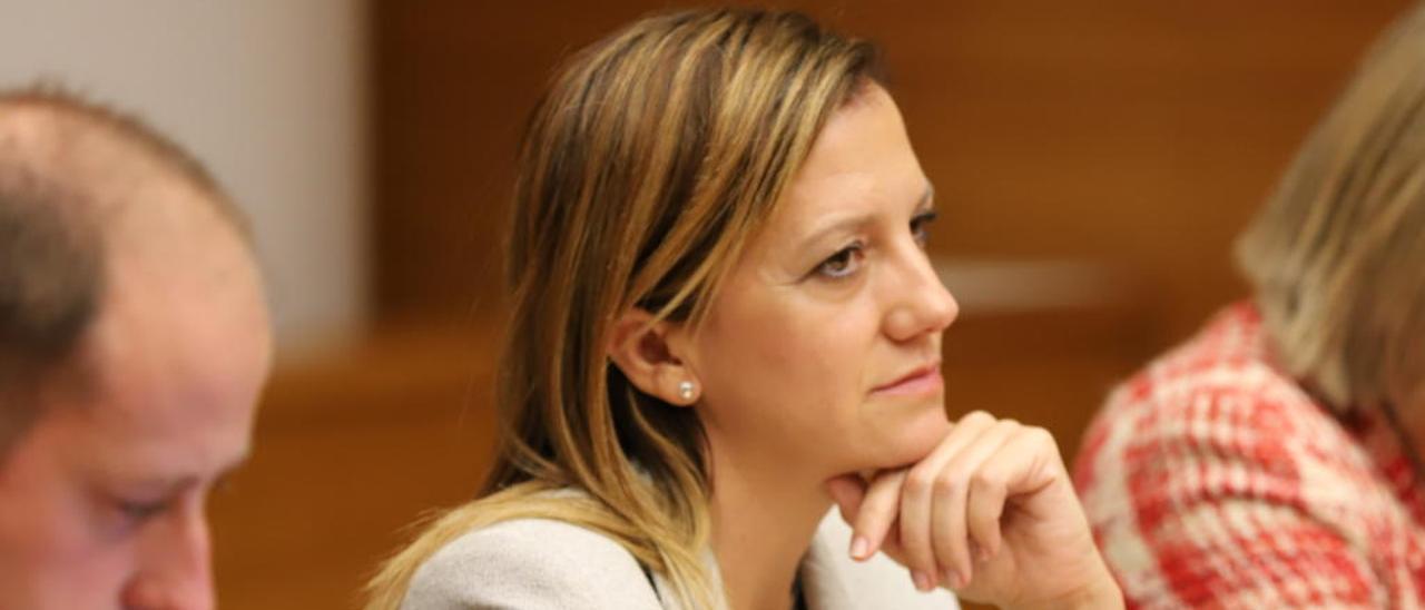 La diputada María Quiles (Cs) en una comisión de las Cortes.