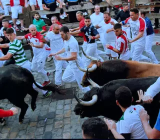 Desde Toro, a la feria del toro