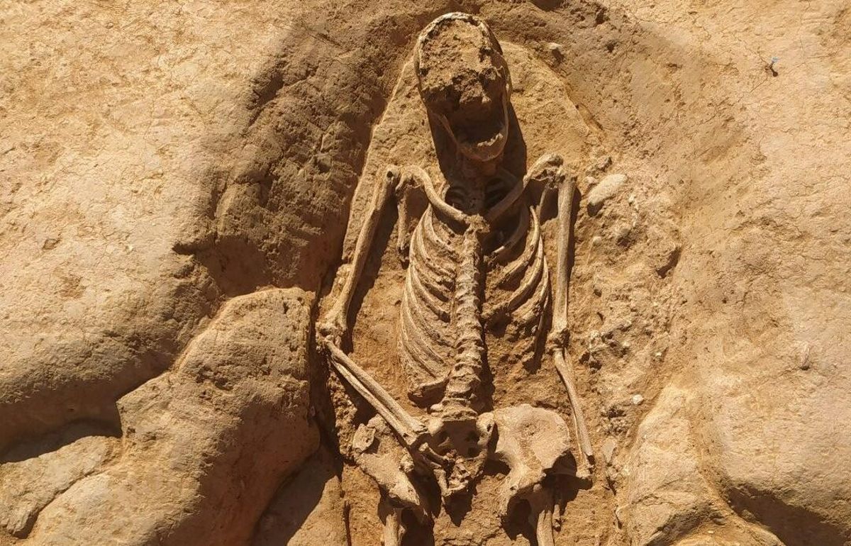 Esquelets i restes romanes excepcionals sota unes obres a la Sagrera Esquelets i restes romanes excepcionals sota unes obres a la Sagrera