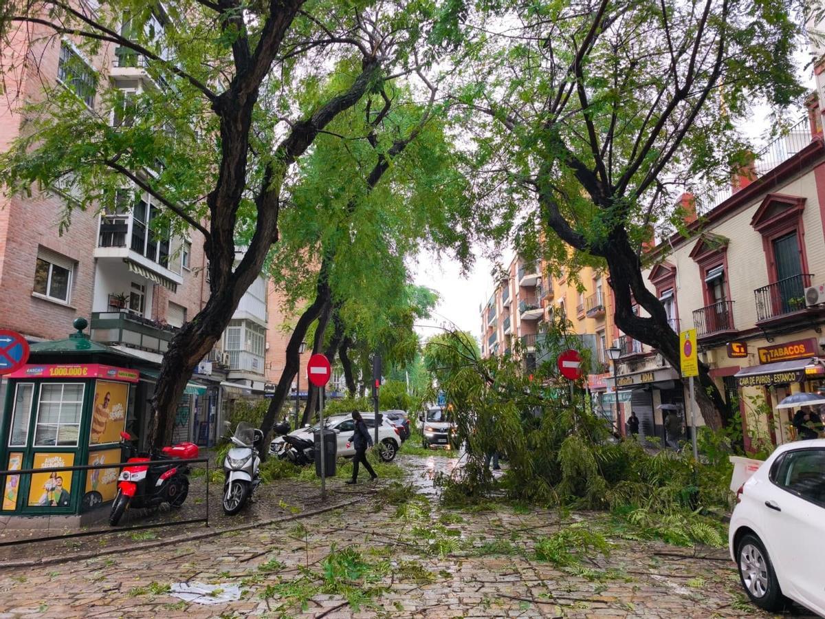 Corte en la calle San Jacinto.