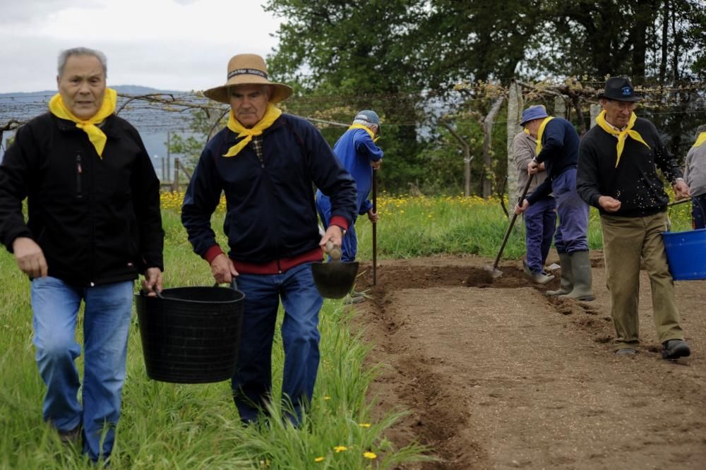 "Sementeira", una asignatura en Valga