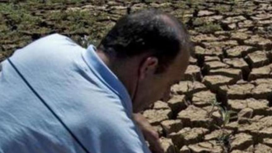 300 millones de Cajamar para hacer frente a la sequía