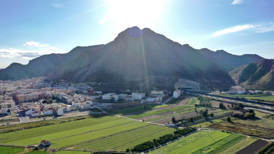 La cooperativa eléctrica de Callosa de Segura compra una planta solar en Mazarrón por 2,3 millones de euros