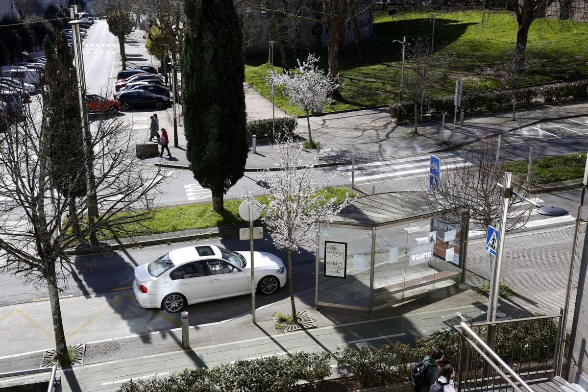 Cuando Santiago vuelve a florecer tras la lluvia