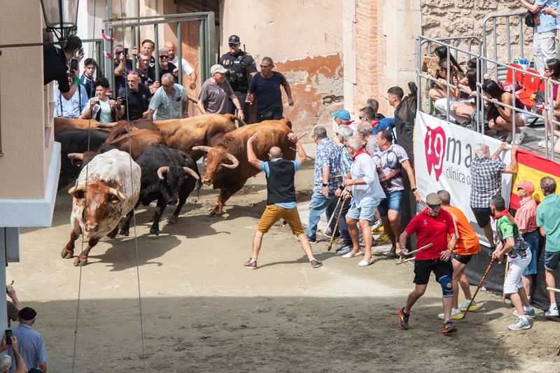 Fotogalería de la segunda Entrada de Toros y Caballos de Segorbe
