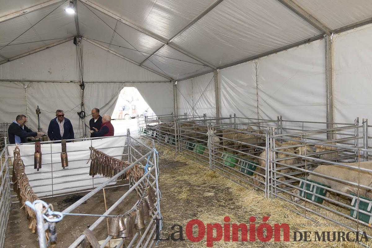 Así se ha vivido la IX Feria del Cordero Segureño celebraba en la pedanía caravaqueña de Archivel