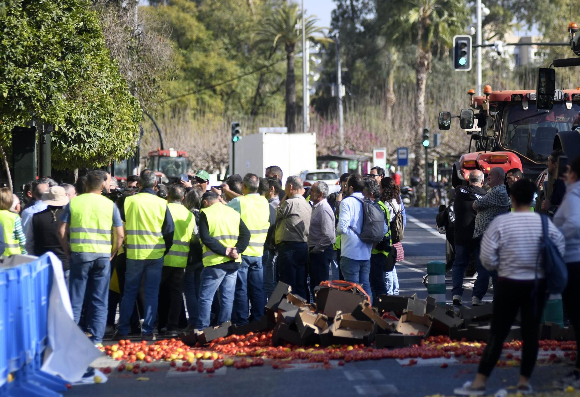 FOTOS: Las protestas de los agricultores murcianos el 21F, en imágenes