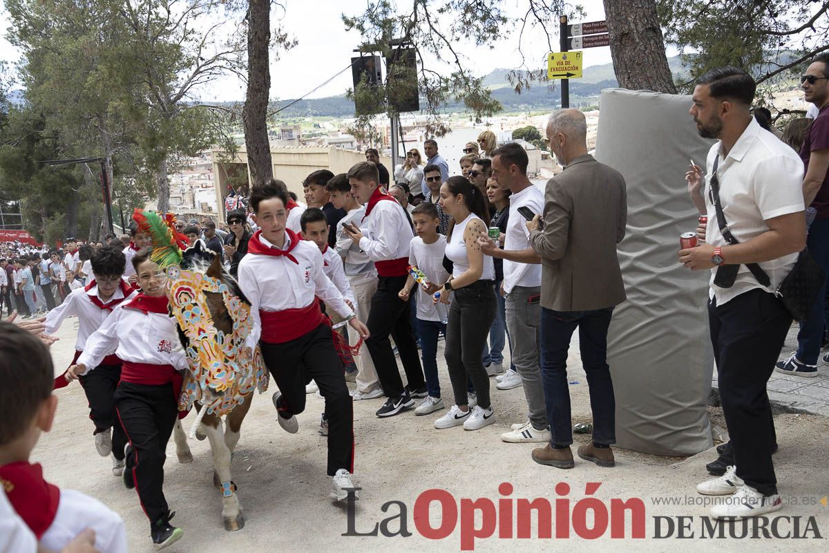 Fiestas de Caravaca | Desfile infantil del Bando de los Caballos del Vino