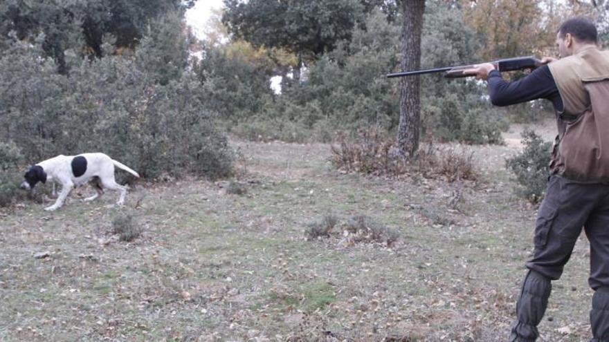 Un cazador espera a que su perro levante la pieza