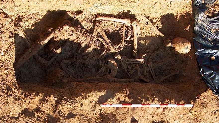 Restos de fusilados en la Guerra Civil hallados en el cementerio de Toro.