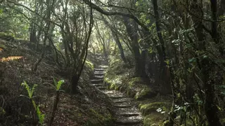 El Cabildo de La Gomera amplía la alerta de Grado 3 para evitar incendios